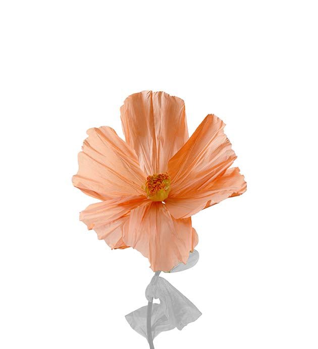Blomster hoved - Lykke - Fersken - Filurfifi
