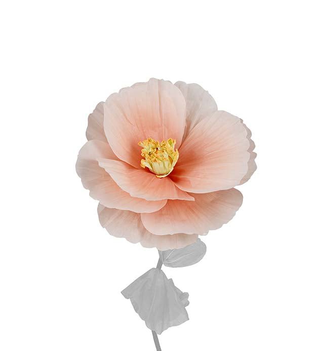 Blomster hoved - Signe - Fersken - Filurfifi