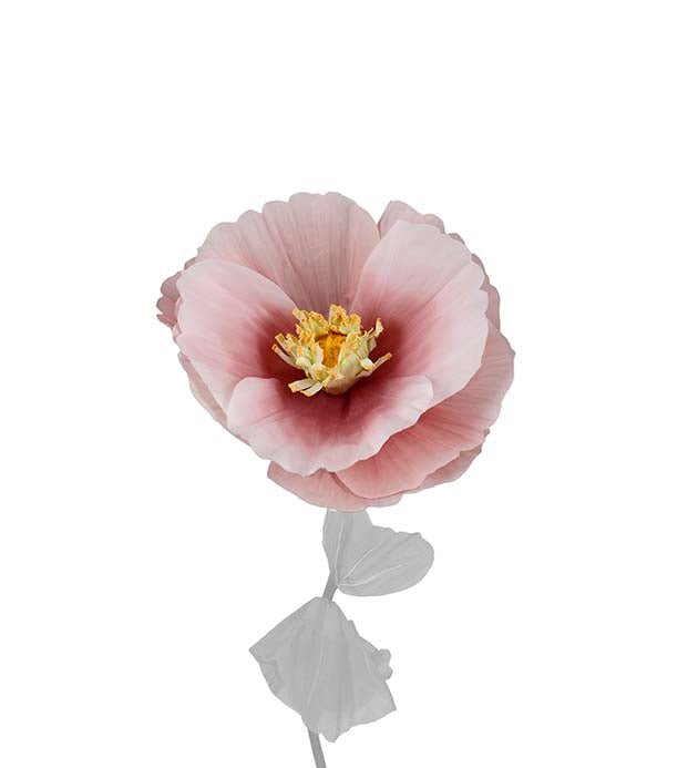 Blomster hoved - Signe - Pink - Filurfifi