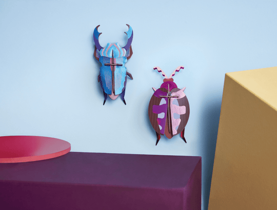 Medium Insects - Studio ROOF