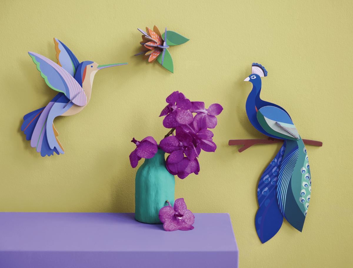 Peacock - Studio ROOF - Filurfifi