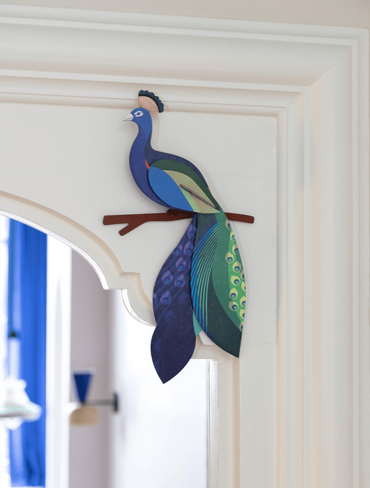 Peacock - Studio ROOF
