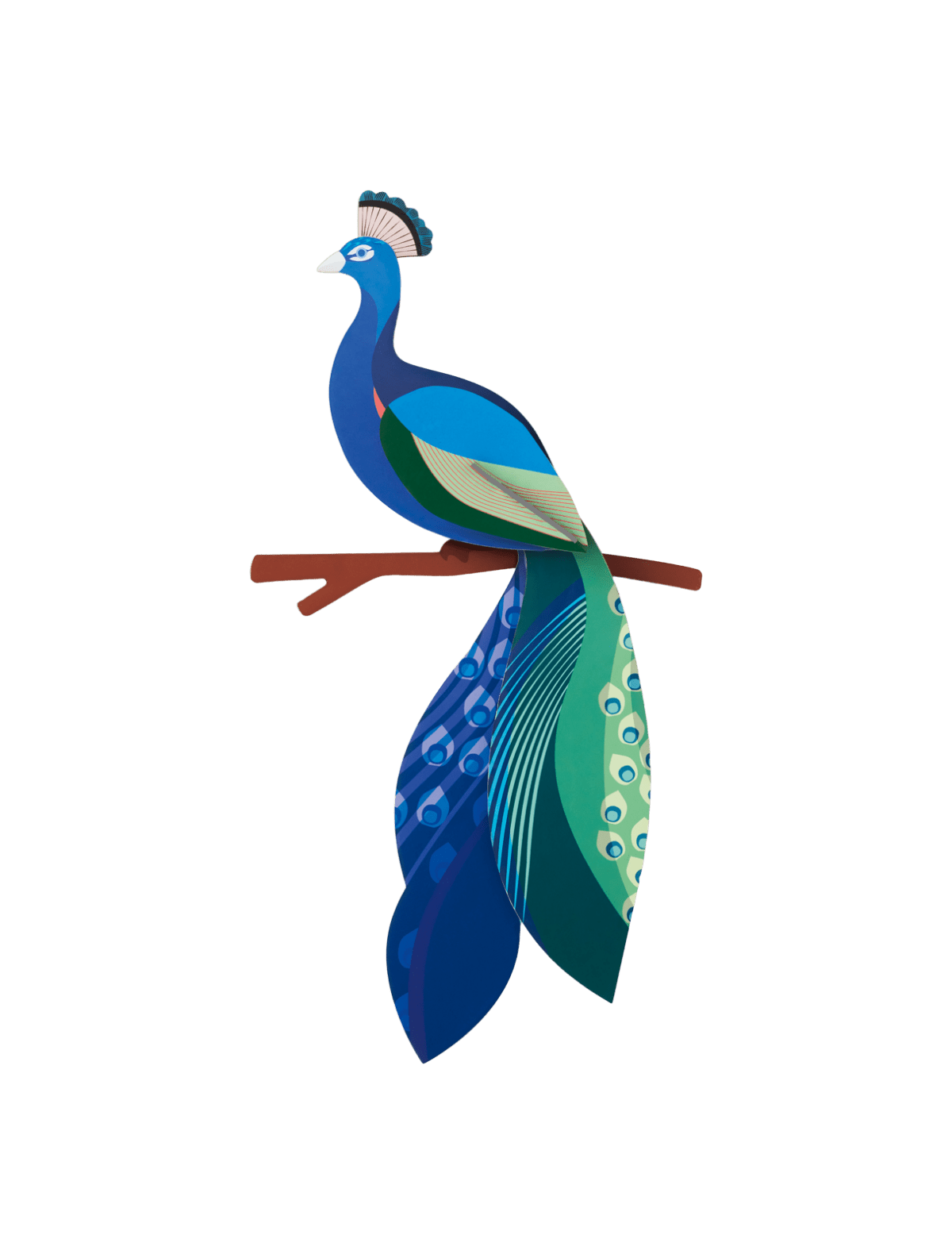 Peacock - Studio ROOF - Filurfifi