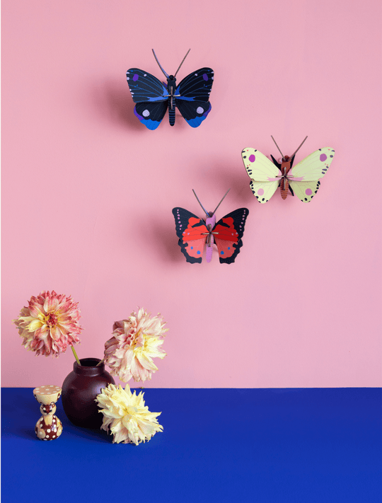 Small Insects - Studio ROOF