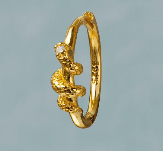 Smykish - Snake Hoops