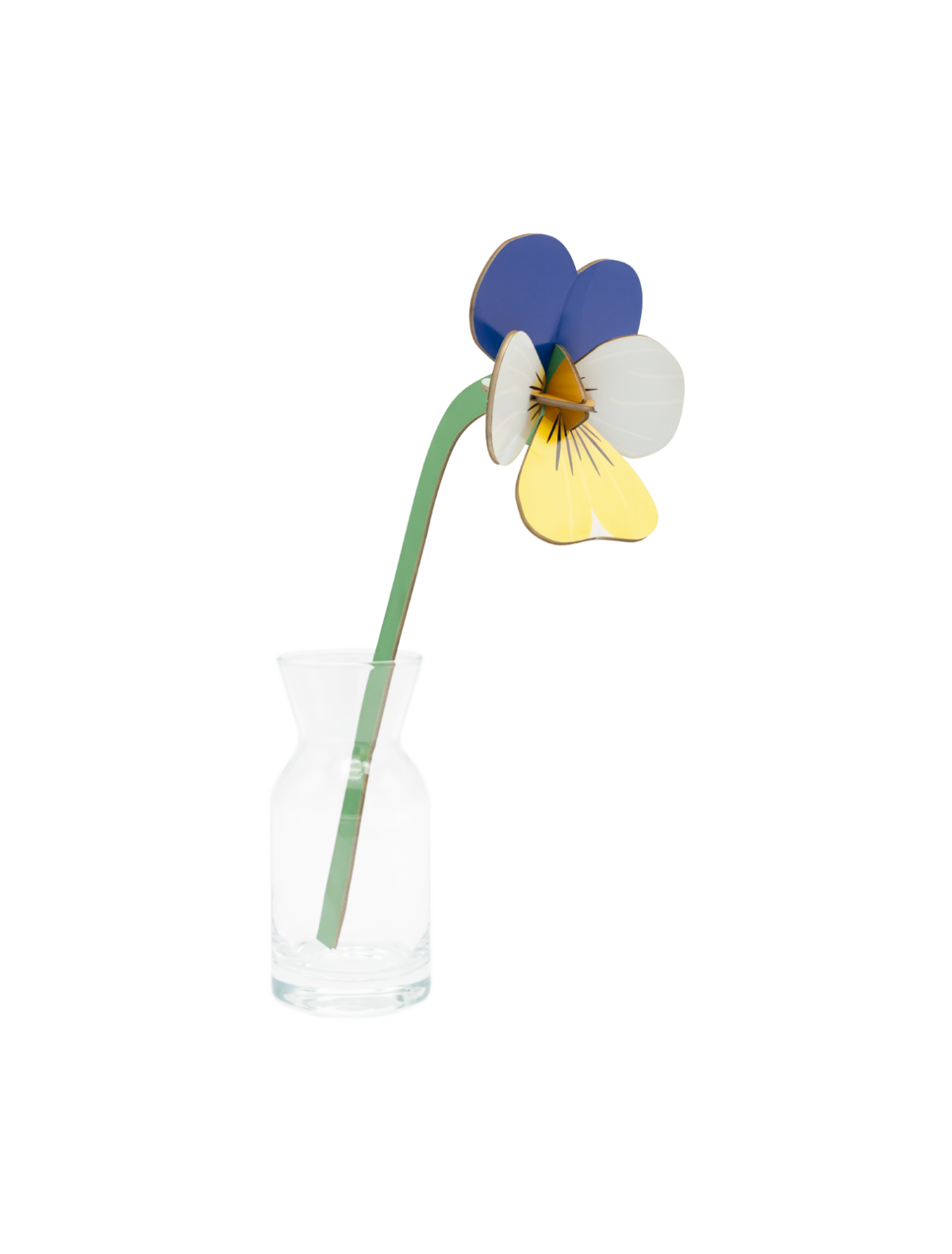 Small Everlasting Flowers - Studio ROOF
