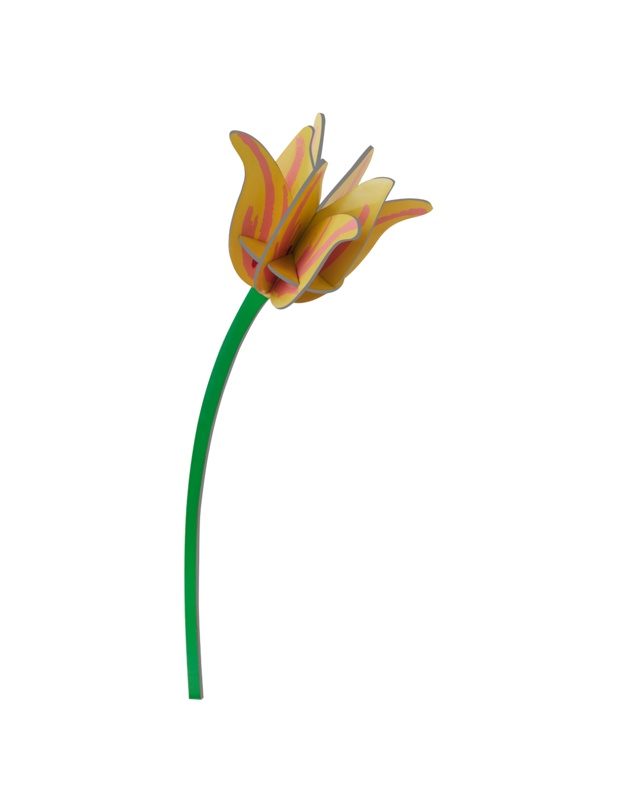 Everlasting Flowers - Studio ROOF